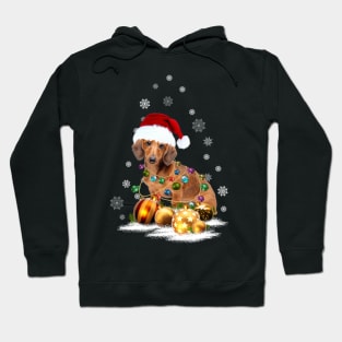 Dachshund Christmas Light Dog Lovers Funny Gifts Hoodie